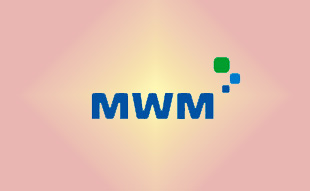 ✓ MWM 0335 7403 Запчасть MWM 